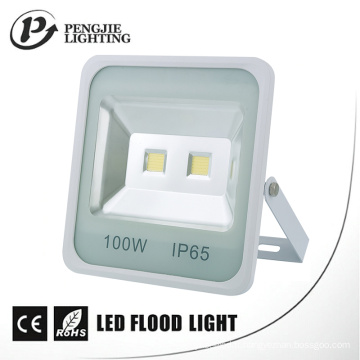 Projecteur carré d&#39;ÉPI LED de 100W pour le CE extérieur, RoHS